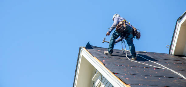 Best Roof Gutter Cleaning  in Bella Vista, CA